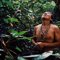 saveamazonforest
