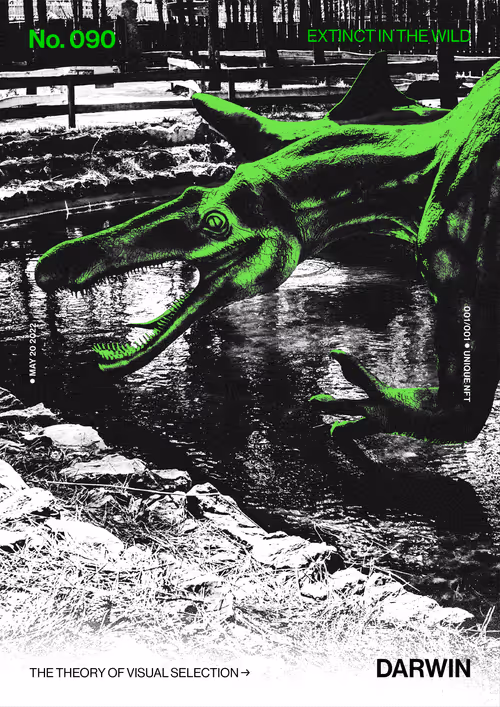 Item #5978613787773959064064561136939516829698711004901919756353002712461893173249 Media