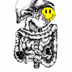 SMILEY - 07 (SPECIAL)