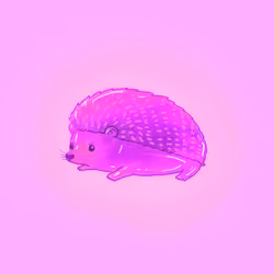 Purple Jelly HH