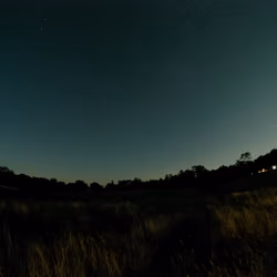 NFT Photography (NIGHT) #06
