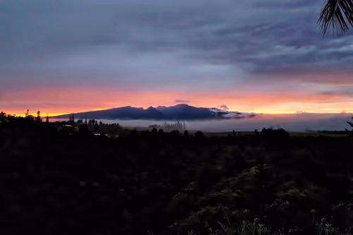 Item #25368776040682519390983776677225528740167958372111640572942765179916773228545 Media