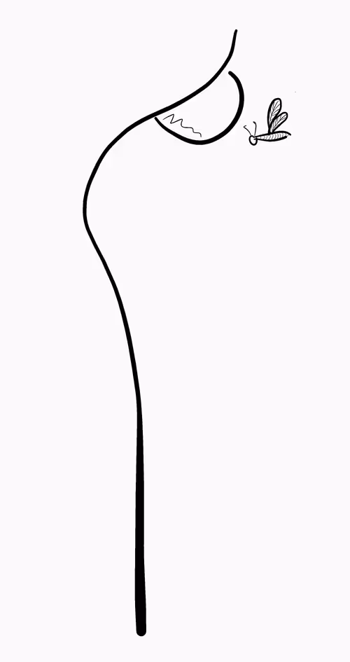 Item #48456786405692947255048876815770099204184249310679546129793808386826231087105 Media