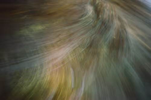 Item #38495668349306452240688866721683925223246116077147746545727998353547489968228 Media