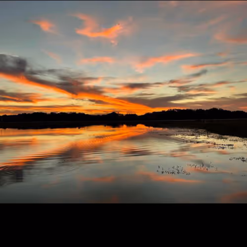 Untitled Collection #31781841