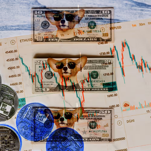 Item #109973185304335295389295967702690498050440437764202445007733630583558058803201 Media