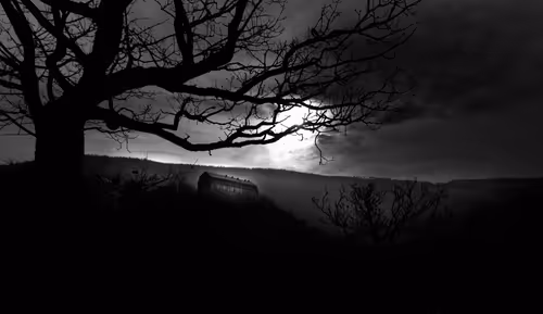 Item #40160686583094733528677484039903516258611509642019211679321071490255537831937 Media