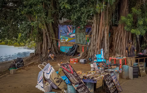 Item #29453746208082885925213446862187229442934735684747336337360990450301737631745 Media