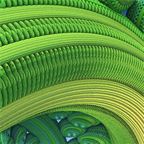 Item #37443895724214384824198737533920147998764876749489710508242055680149566783489 Media