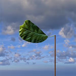 Item #108271561219410126438885171798473668351763019664133280601583571513248573292545 Media