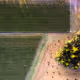 42900618583322556022103509976530202040171261605006560979565954758810238189569