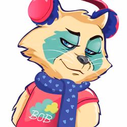 Raccoon-121