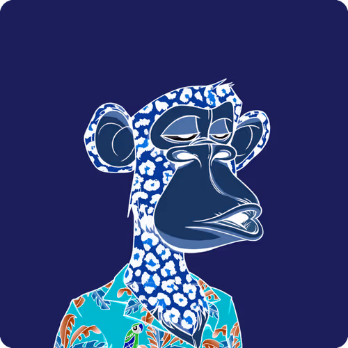 The #2213 Collection