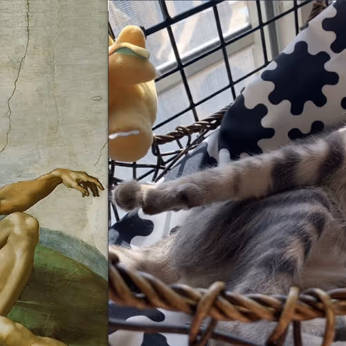 Untitled Collection #43827477