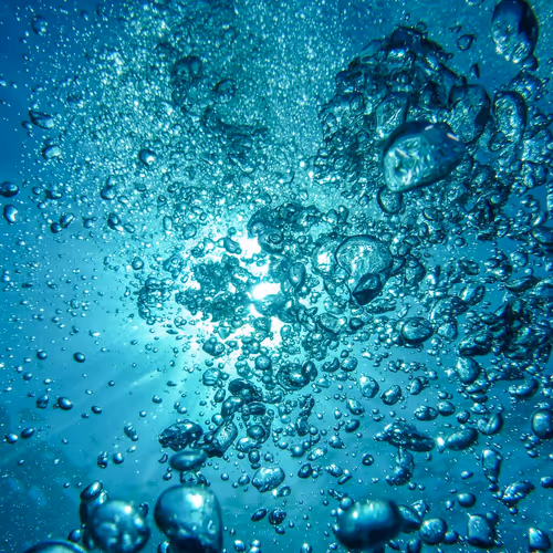 Untitled Collection #448723586