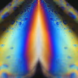 86322865835249178422551085128691778807953829915868126837986678291952079732737