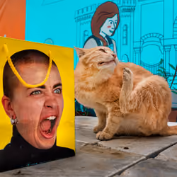 Cats Love