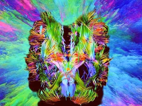 Item #44820903106987093458998790611995561527004783591399631822843358590641073291265 Media