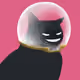 78691630486237452253407982334196552834116754498908990625475376456511592071169