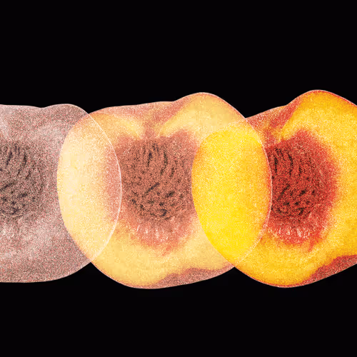 The Fruity Triples - Genesis Collection