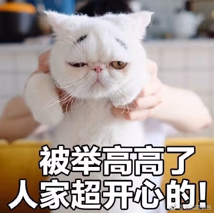 qqq86