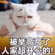 qqq86