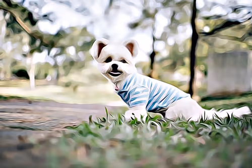 Item #21607923784025543658024067331009769919395041958272689574271021128757970731009 Media