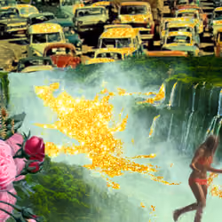 "Gold Rush"