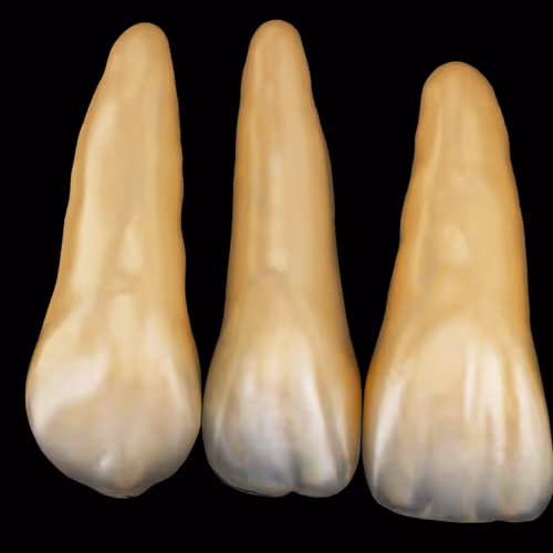 Item #62232289940205459480907166310422704462499916562185049757007232024729620578305 Media