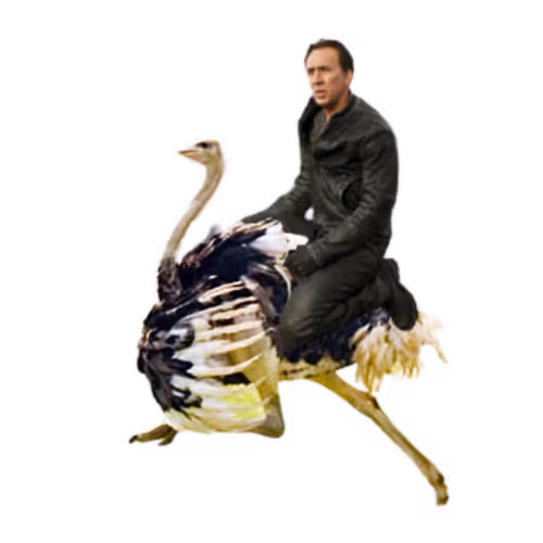 Item #50734465789721730720413684582549451391498635230479480080828052284739525017601 Media