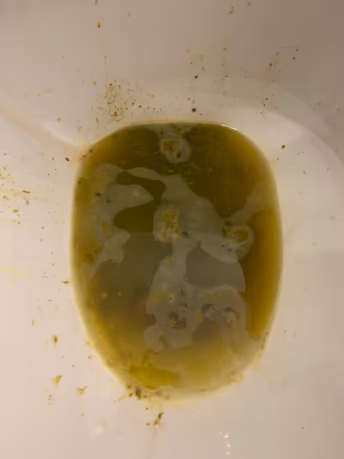 Item #84895952917730131416683612564549542133227840951256626305912310573062265241601 Media