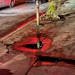 Red Light 