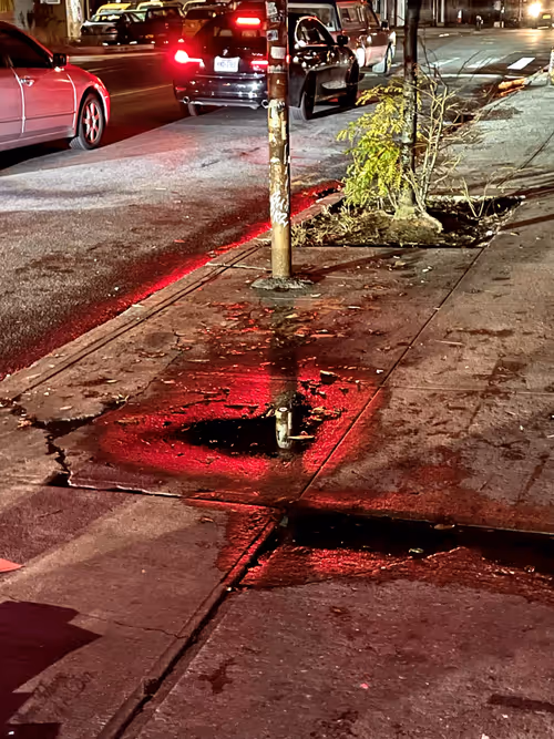 Item #46165039253768007082399740641195616512742564735458556676886734429461837512705 Media