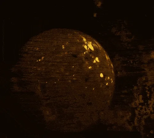 Megalopolis Nebula Post2019 Hongkong