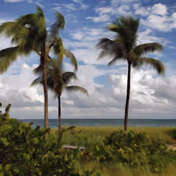 Serenity by the Sea