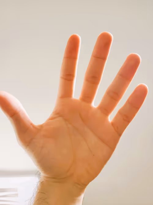 Item #56197781716024537677239957296666058743458333149567891362678828864604731342849 Media