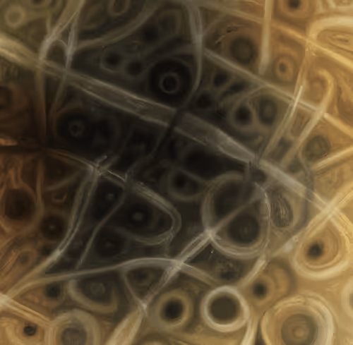 Item #33293457058661275056775848170303775746271351105386188312509916054344102313985 Media