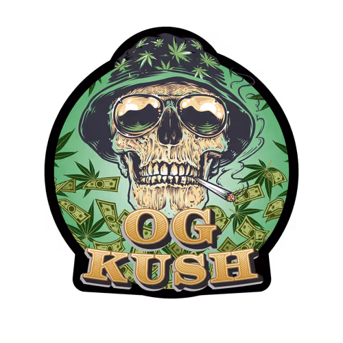 Thekingoftheoutlaws Collection