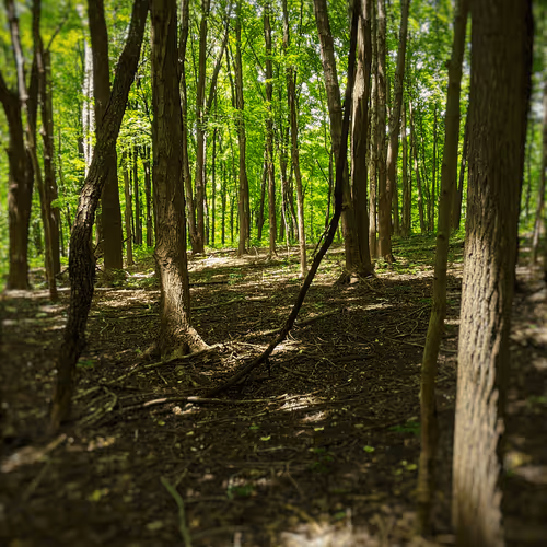 not lost just exploring