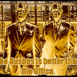 "One Bush" By: The Radical Rabbi (GOLD RARE)