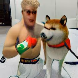 Jake Paul and Shiba fight