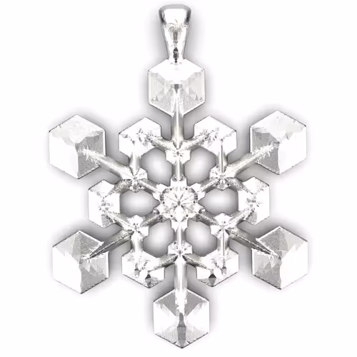 Special Snowflake Lot 0