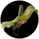 3297889266964821186108216166808061648097153390725508810487041793786237681665