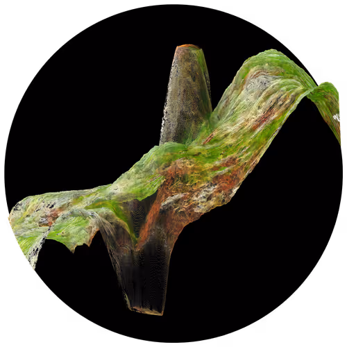 Item #3297889266964821186108216166808061648097153390725508810487041793786237681665 Media