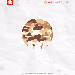 29314157866463614573355053931398882925484977285626546525081320696663309811713