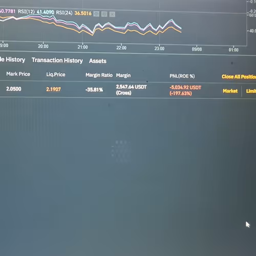 Untitled Collection #72595565