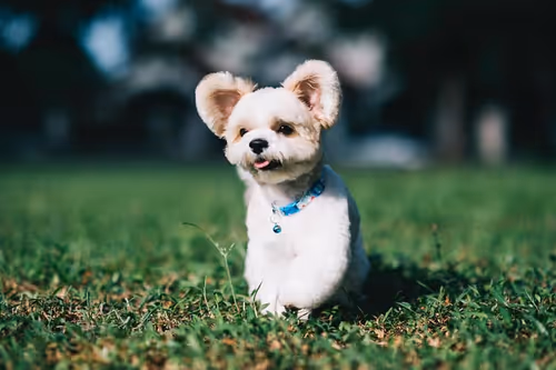 Item #21607923784025543658024067331009769919395041958272689574271021112265296314369 Media