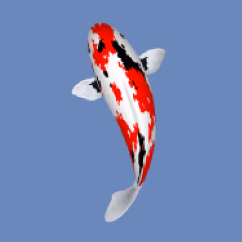 Item #85890538515849146191794191908996501016024634704301377485849138334300461072385 Media