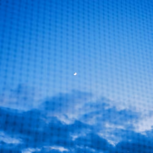 serene moments hidden in plain sight.