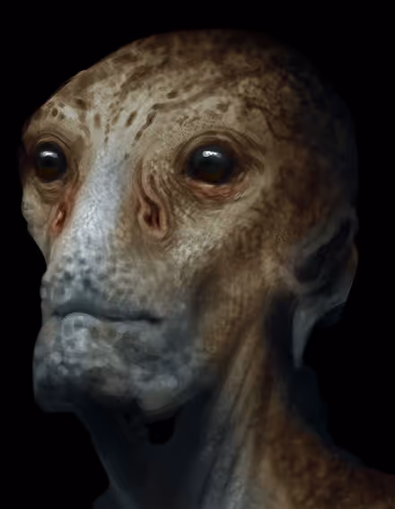 Item #97107590523923761146299885224419256175613868444109951227489717451892755267585 Media